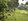 1.5 hectares Farm Lot  expandable to 4ha For Sale in Padre Garcia Batangas