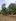 500 sqm Residential Farm For Sale in Tiaong Quezon