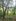 MANGO FARMLOT IN BATANGAS FOR SALE  TITLED  300SQM 500SQM 1000SQM