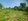 Farm Land near Catanauan Beach