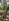 100 sqm Residential Lot For Sale in Candelaria Zambales