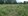 Acquired asset residential farm for Sale in General Santos City, South Cotabato