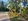 864 sqm Lot for Sale in Brgy. Silop, Surigao City