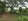 200sqm Residential lot installment in Lourdes Alubijid mis or