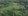 3.7 Hectares of Land in Alfonso Cavite 1km from Twinlakes