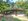 1.6ha titled with pigery and laying poultry building in PADRE GARCIA BATANGAS