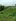 100 sqm Residential Lot For Sale in Arakan Cotabato