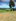 Titled Farm Lot in Sampaloc Hills, Tanay, Rizal
