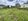 Lot Purchase with  House costruction costomize build