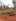 4.42-Hectare Farm Lot for Sale in Aborlan, Palawan