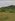 Farm lot 12 hectares Sta. Ignacia Tarlac