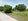 Farm lot for sale 15,000 Cuyapo Nueva Ecija