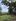Farm lot. Cheap. Mura. For sale. Malapit sa kalsada pasok car. Marilaque