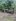 750 sqm Farm Lot For Sale in Burgos Siargao Surigao Del Norte