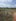 4,110 sqm Farm Lot For Sale in Mayantoc Tarlac