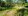 3,200 sqm Farm Lot For Sale in Mayantoc Tarlac
