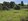 1 hectare Farm Lot For Sale in Mayantoc Tarlac