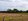1.3 hectares Farm Lot For Sale in Guimba Nueva Ecija