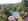 3.3 hectares Farm Lot/Old Resort For Sale in Cavinti Laguna