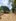 564 sqm Farm Lot Perfect for Dream Farm Life in Guimaras