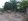 Lot for sale with existing rice mill and small house