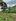 3000sqm.Raw Land For Sale in Coron