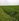 Mini Farm Lot for Sale in Guimba, Nueva Ecija