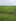 1 Hectare Farm Lot for Sale in Mayantoc, Tarlac