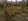 3-Hectare Farm Lot for Rent: Ideal for Campsite, Leisure Farm, or Traditional Farming
