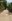 ONE PROPERTEE 5,385 sqm Farm Lot For Sale in Orani Bataan