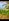 SEA VIEW COMMERCIAL LAND FOR SALE