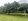 Affordable Fruitbearing Farmlot for Sale in Carcar, Cebu