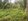 Owned agro-industrial land by my father