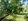 2 hectares Farm Lot For Sale in Aborlan Palawan