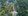 Titled Amadeo Farm Lot For Sale