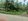 Residential Lot for Sale along cemented road