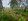 Mini Farm Lot and Rice Land with Access Road and Water Supply