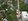 100 sqm  Residential Lot for Sale in Baguio City Economic Zone  Baguio Benguet