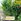 Affordable farm lot in Prime Location