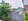 100sqm Lot Only For Sale, Gated & with perimeter fence Clean Title - Green Acres Subd Mansilingan BC