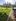 Farm lot for sale 1300/ sqm located at san isidro casiguran sorsogon