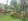 Farm Lot 1 Hectare Balingasag Misamis Oriental
