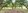 Affordable Mango Farm Investment Opportunity