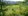 FarmLot with Banana Tress Davao city