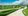 750 sqm Commercial Lot For Sale in Santa Rosa Laguna