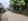 Lot near Airport Sasa Davao city