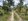 2.6 hectares Farm Lot For Sale in Badian Cebu