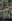 10.2 Hectares Along the Higway, Right Beside Subdivision and Solar Farm. SOLO Title.