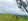TITLED FARM LOT IN SAMPALOC TANAY RIZAL