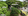 2,000 sqm Residential Lot For Sale in Tagaytay Cavite